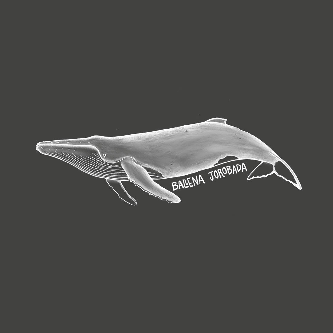 Jockey Malla Ballena Jorobada Negro