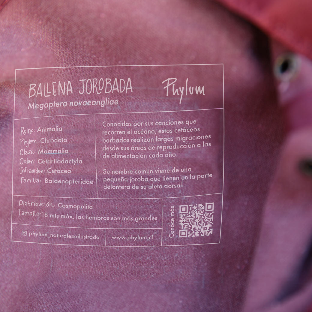 Gorro Bucket Burdeos · Ballena Jorobada