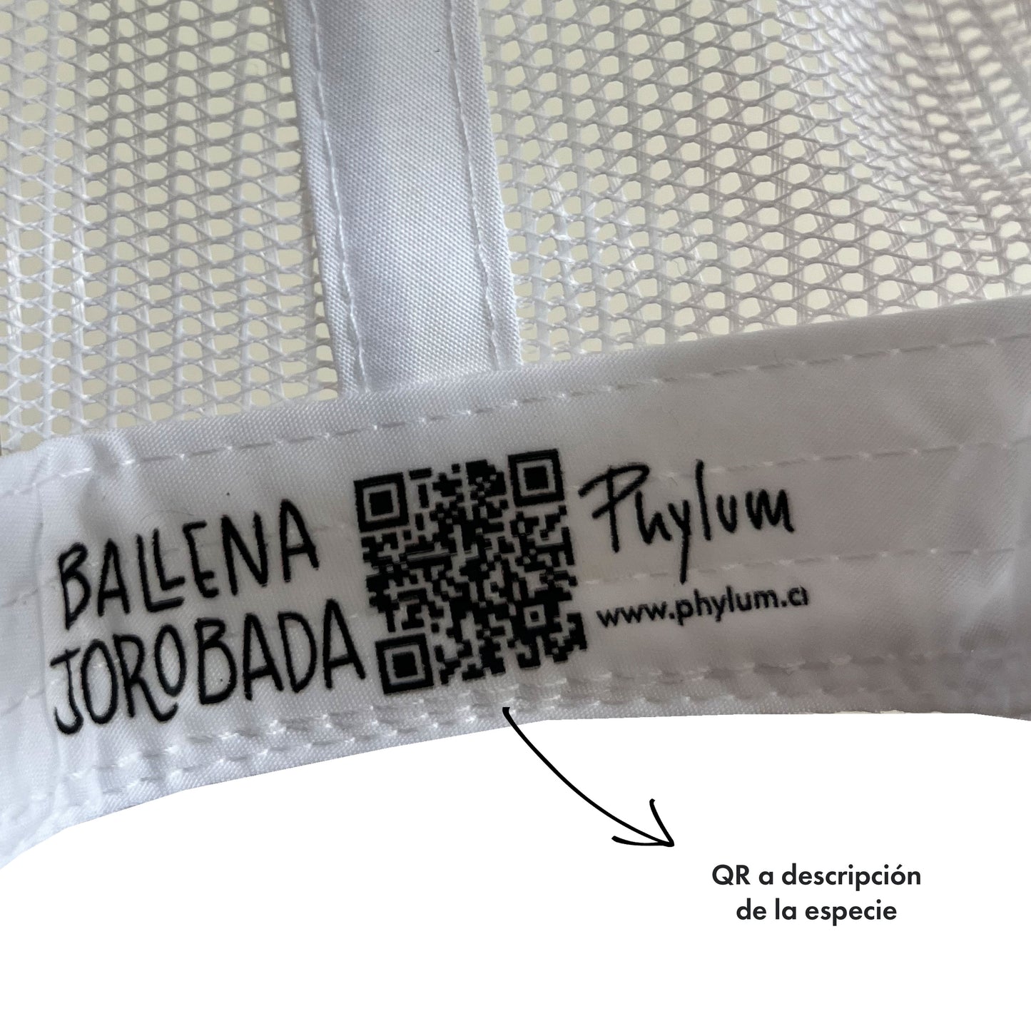 Jockey Malla · Ballena Jorobada · Gris Azul