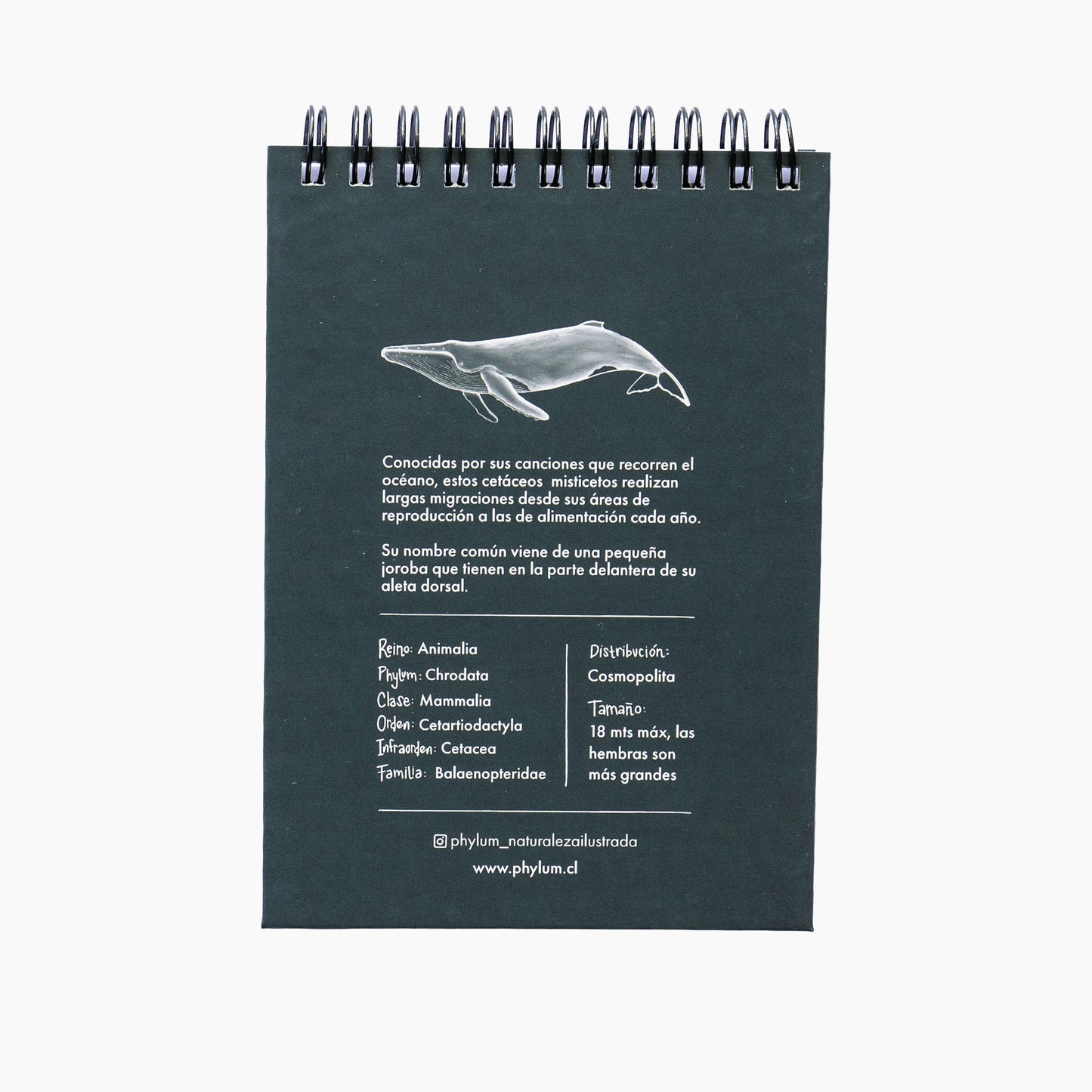 Libreta Ballena Jorobada