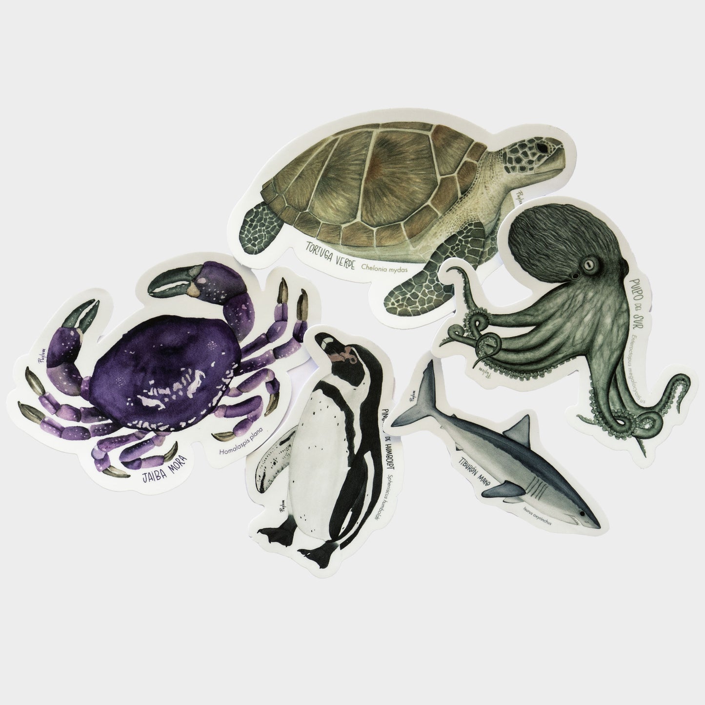 Pack de Stickers Marinos · Mix Especies
