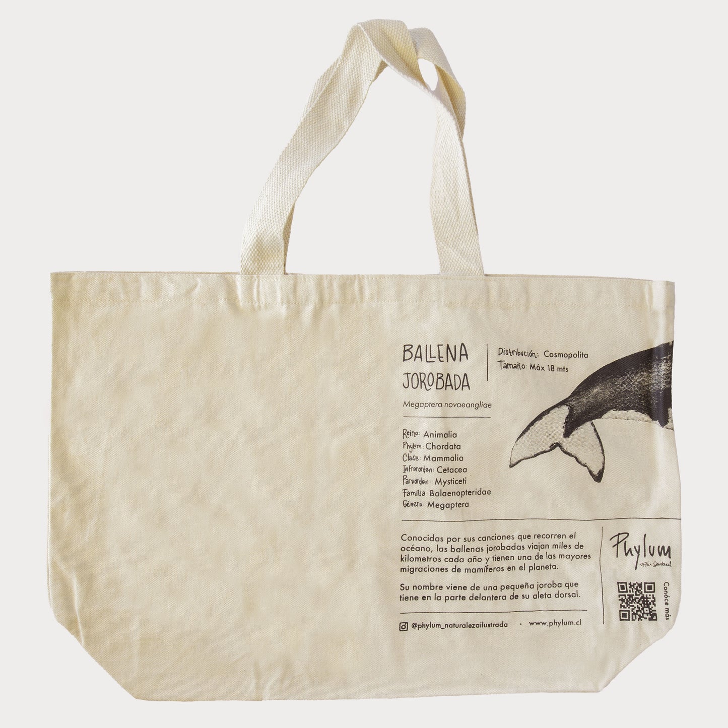 Bolso Playa Ballena Jorobada