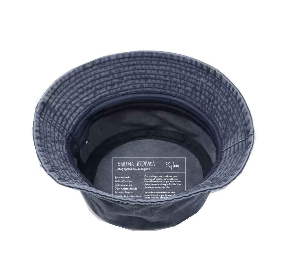 Gorro Bucket Azul · Ballena Jorobada