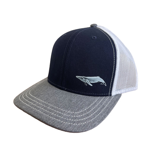 Jockey Malla · Ballena Jorobada · Gris Azul