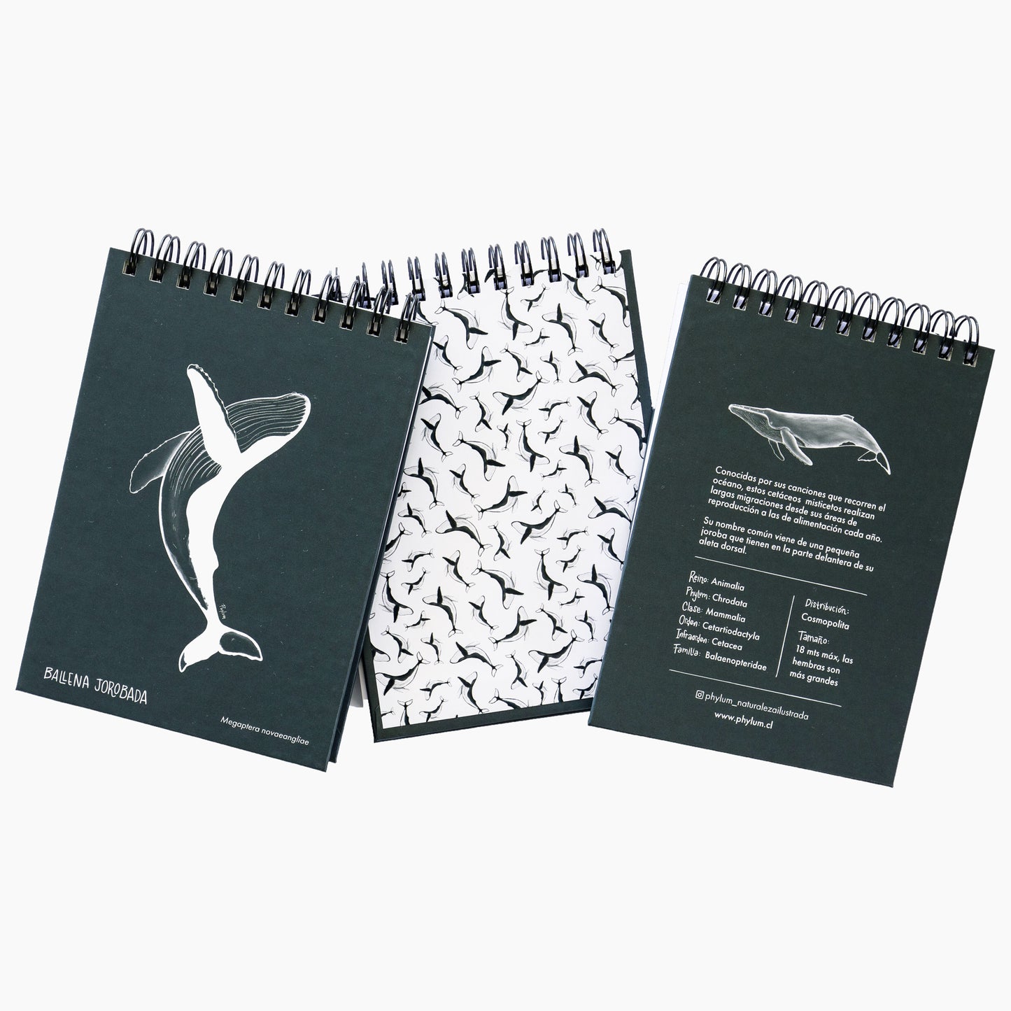 Libreta Ballena Jorobada