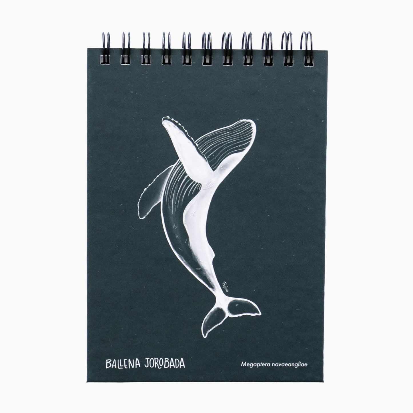 Libreta Ballena Jorobada
