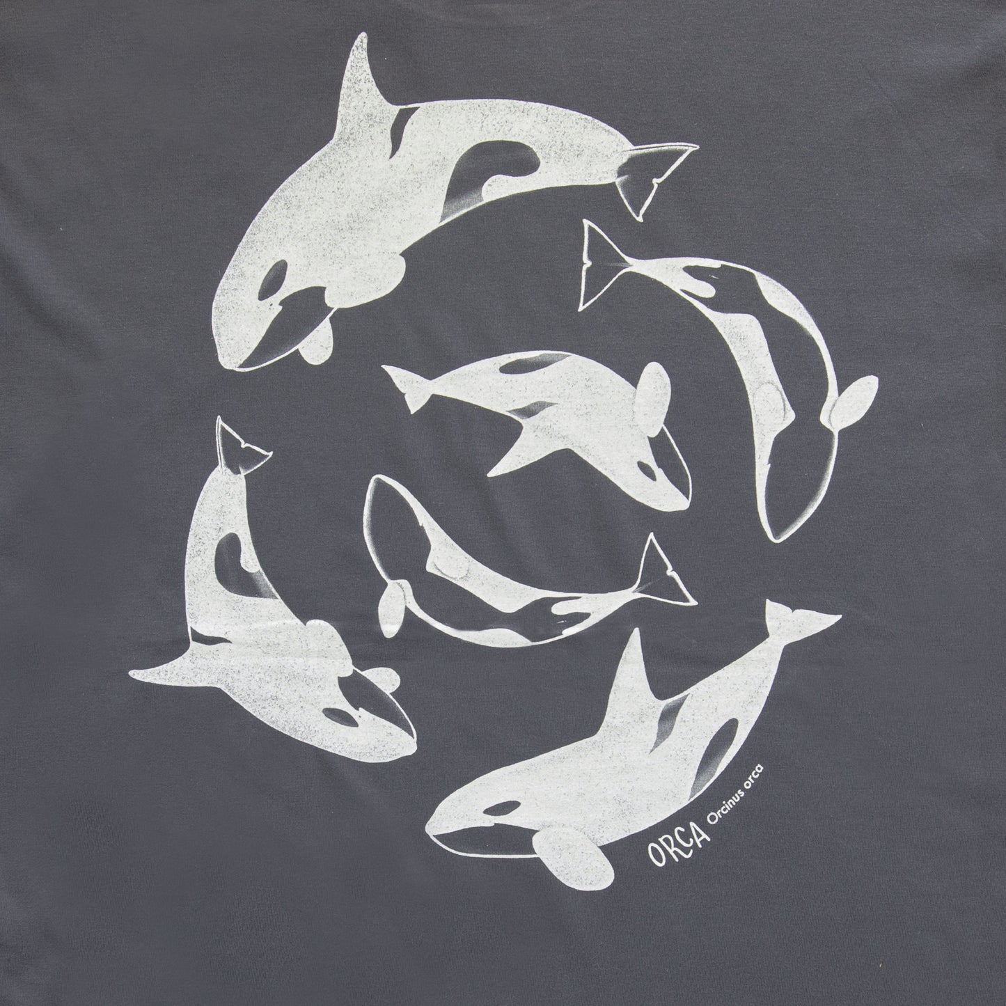 Polera Orca · Gris Asfalto