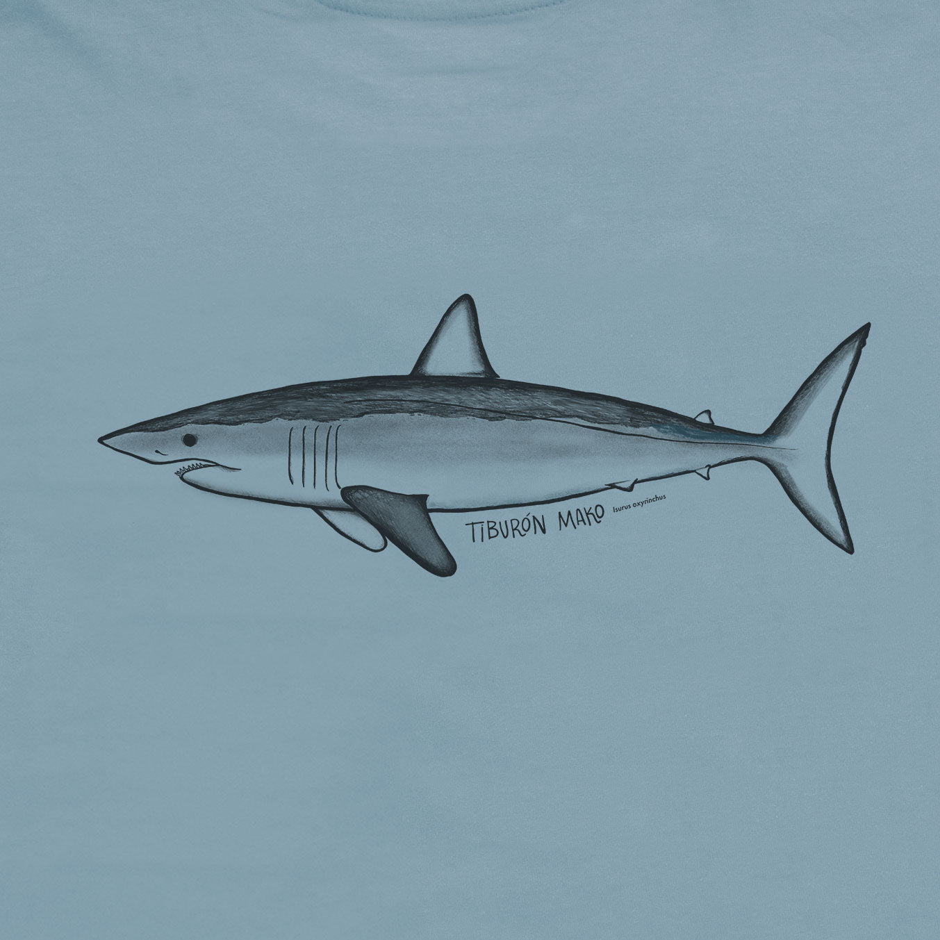 Polera Tiburón Mako · Celeste