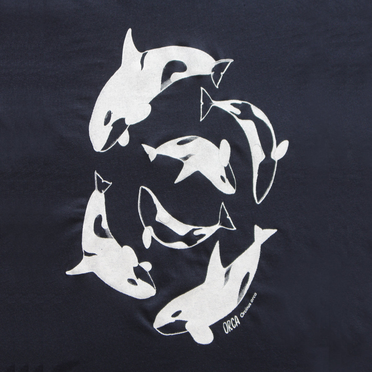 Polera Orca · Niñ@s · Azul